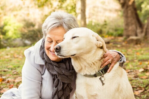 Cohabitation entre chiens et personnes âgées : les bienfaits pour la santé