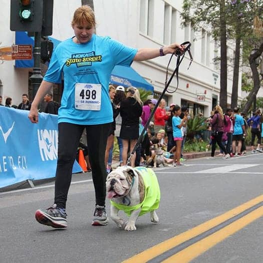 Correr com o seu cão: o que fazer e o que evitar