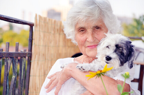 Le chien : l’un des meilleurs compagnons des personnes âgées