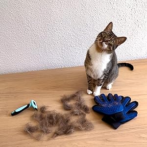 Kit de Escovagem e Higiene para o Pêlo de Cães e Gatos - PetDoctors - Loja Online